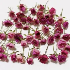 kumagoro様 リクエスト 2点 まとめ商品