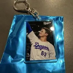 中日ドラゴンズ ベストショットシークレットアクキー