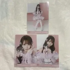 LOVE イコラブ 野口衣織 生写真 コンプ 2024 モーリーファンタジー
