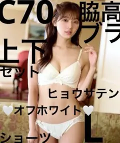 エメフィール　C70/L　ヒョウサテン　カシュクールレース　脇高ブラ＆ショーツ