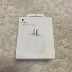 Apple USB-C 20W Power Adapter 本体