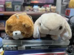 アマミノクロウサギ ぴょん太とお母さん アマミラビット工房 - メルカリ