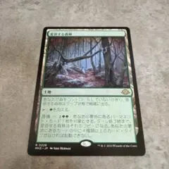 MTG　日本語版　変容する森林のサムネイル