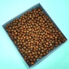 Item thumbnail for item a76b3166-dc54-4dd3-be6e-0905f6cc0c08