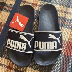 Item thumbnail for item 4c19a4f9-9a1c-4708-b5cd-3e9db7282368