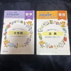 トライ＆トライ 数学 国語 問題集 ※解答あり・書き込みなしのサムネイル