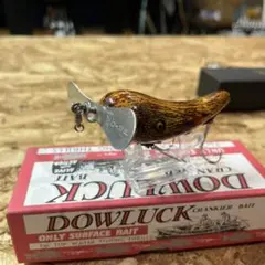 道楽 Dowluck トップウォータープラグ - メルカリ