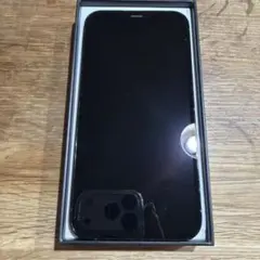 Apple iPhone 12 Pro パシフィックブルー 本体　ラピッド様専用