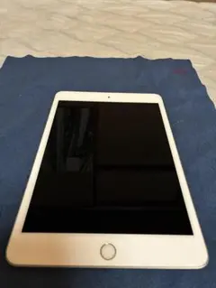 マルー様専用　Apple iPad mini 第5世代 256GB シルバー