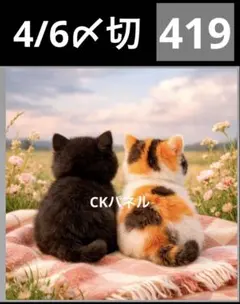 新柄♥️期間限定レアパネル生地 猫パネル生地 6柄セット CK