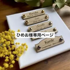 ひめお様専用ページ