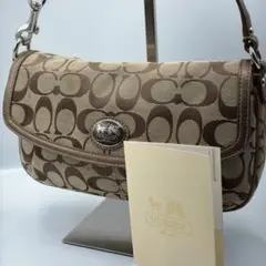 2877⭐️COACH コーチ　ワンショルダーバッグ　アクセサリーポーチ　Y2K