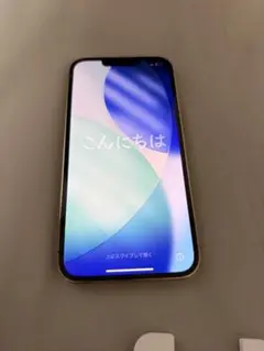 Apple iPhone 13 Pro ケース及びフィルム付