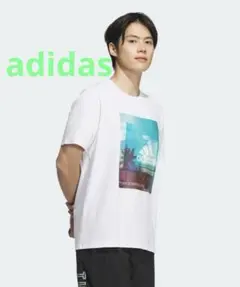 【adidas】M PALM TREE Tシャツ IT0902