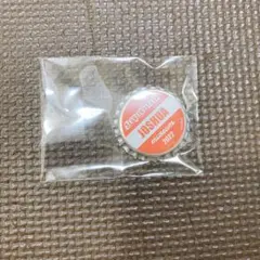 SEVENTEEN museum 王冠マグネット ジョシュア