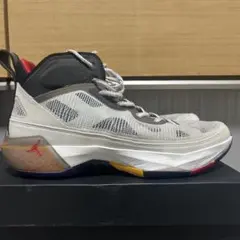 NIKE AIR JORDAN バスケットボールシューズ AJ VII