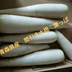 新春特価　立垣為良　岡山県産　農薬不使用　無肥料　ねずみ大根50本辛味大根 岡山県産 農薬不使用 無肥料 ねずみ大根 500g 辛味大根 - メルカリ