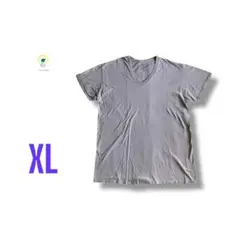 【最終価格】フルーツオブザルーム Vネック 無地 半袖 Tシャツ グレー XL