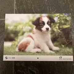 Item thumbnail for item c137662e-8576-40da-98ec-38e1b559cc83