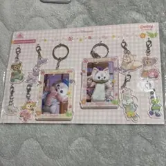 香港ディズニーランド　アクリルキーホルダー　ダッフィーフレンズ