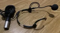 Item thumbnail for item 1cb76a2a-eed8-4e02-b6e4-4ffd63e03a72