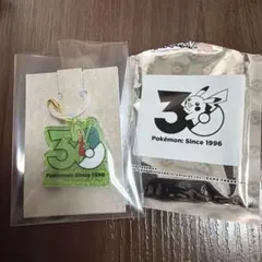 ポケモン 30周年ロゴマスコット キモリ