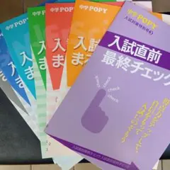 中学ポピー　入試対策　総復習　セット