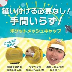 Item thumbnail for item 45d2f6be-d44b-470b-be82-2905bf944978