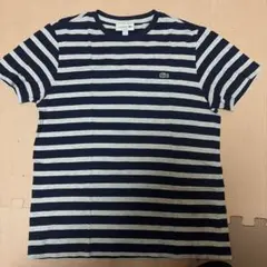 LACOSTE ボーダー Tシャツ