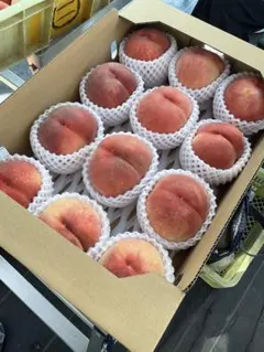 明日の午前中受け取り可能な方！家庭用　18玉✖️2 10kg 白鳳 家庭用 18玉 5kg 白鳳 - メルカリ