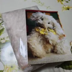 Item thumbnail for item 14cf9a2d-2121-4b2b-9724-7a6e464371a6