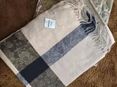 Item thumbnail for item 9dbc95e4-1dbb-4956-b3a0-313e6f0e8bc7