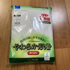 Item thumbnail for item 21887a28-5798-4fa9-bc95-6d3aa78a64e3