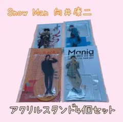 SnowMan 向井康二 アクリルスタンド 4点セット 美品 アクスタ