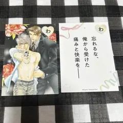 ビーボーイ35周年記念展 ビーボーイ展 ビボ展 カルタ やまねあやの