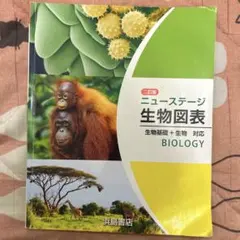ニューステージ生物図表 浜島書店