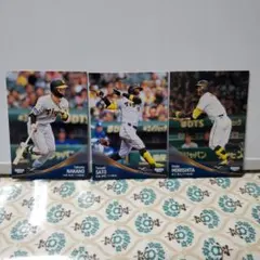 BBM プロ野球 阪神トレーディングカード 3枚セット