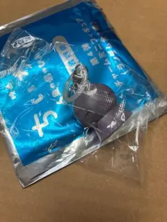ちいかわ 映画入場特典4弾 めじるしアクセサリー ヒトハ