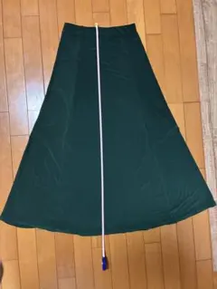 zara ラインが綺麗なロングスカート