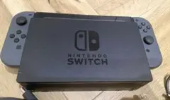 小*天様 【訳あり】Nintendo Switch 本体 グレー ACアダプター