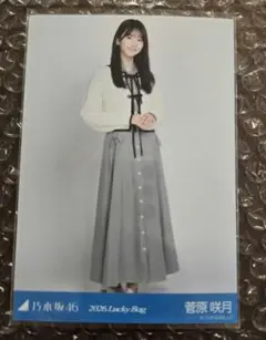 Item thumbnail for item 219c28e0-05eb-48d1-8bf0-b42d239dbc68