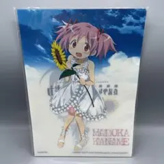 未開封 非売品 魔法少女まどか☆マギカ クリアファイル5種セット ローソン当選品