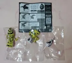 いきもの大図鑑アドバンス レオパードゲッコー(バンディット)