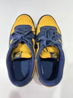 Nike イエロー/ネイビー スニーカー