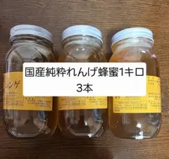 フォロー割国産純粋れんげ蜂蜜 1kg 2本 - メルカリ