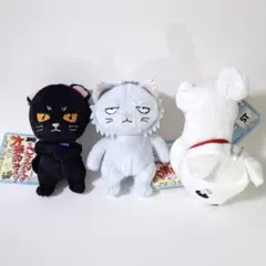 銀魂 わんにゃん大集合 銀時 桂 定春 いぬ ねこ ぬいぐるみ マスコット