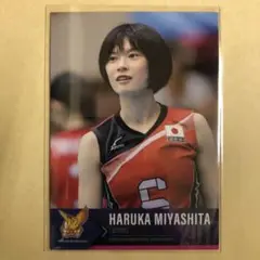 火の鳥NIPPON 全日本女子バレー　 福袋 2023 宮下遥　直筆サイン色紙 Amazon.co.jp: 火の鳥NIPPON 全日本女子バレー 福袋 2023 宮下遥