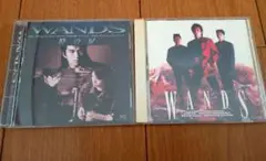 【WANDS】ワンズ　時の扉　アルバム2枚セット