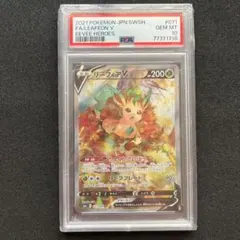 2025年最新】リーフィアv sa psa10の人気アイテム - メルカリ