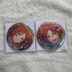 あんさんぶるスターズ!! 10周年 缶バッジ 2wink 葵ひなた 葵ゆうた